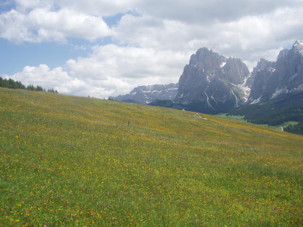 Garni La Majon Hotel Selva di Val Gardena Exterior photo