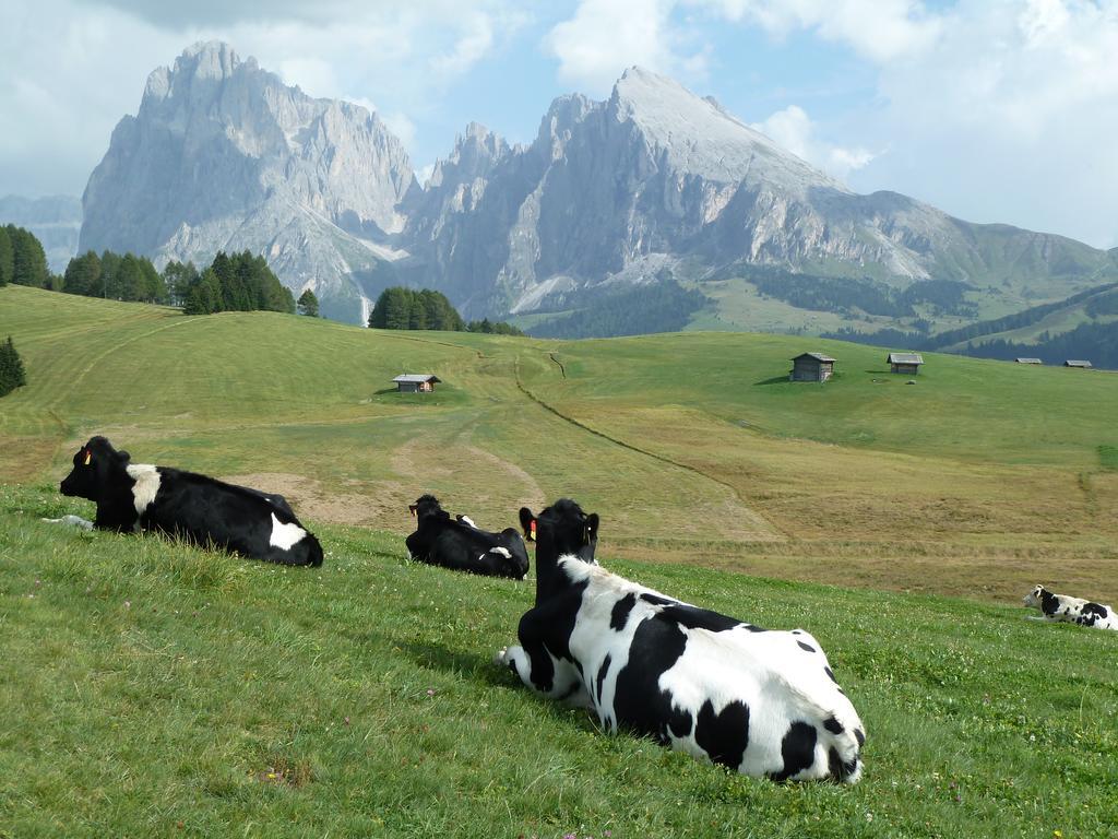 Garni La Majon Hotel Selva di Val Gardena Exterior photo